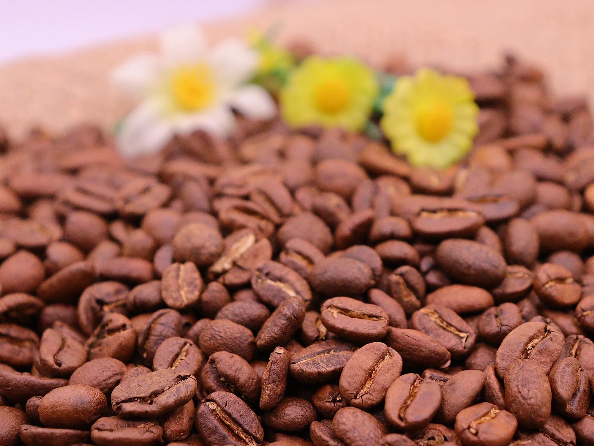 Light Roast Colombia Breakfast Blend