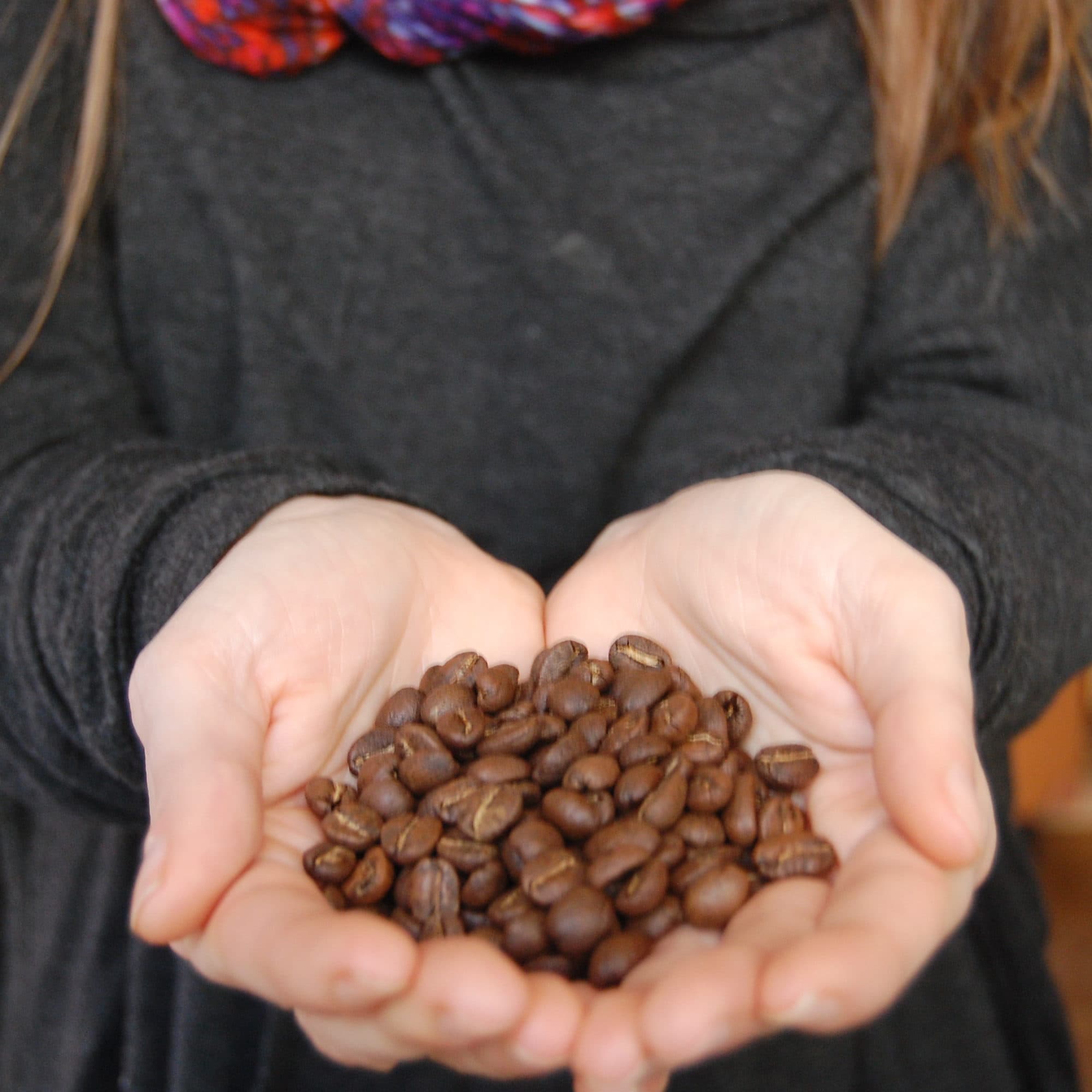 FTO Espresso Michelangelo Blend