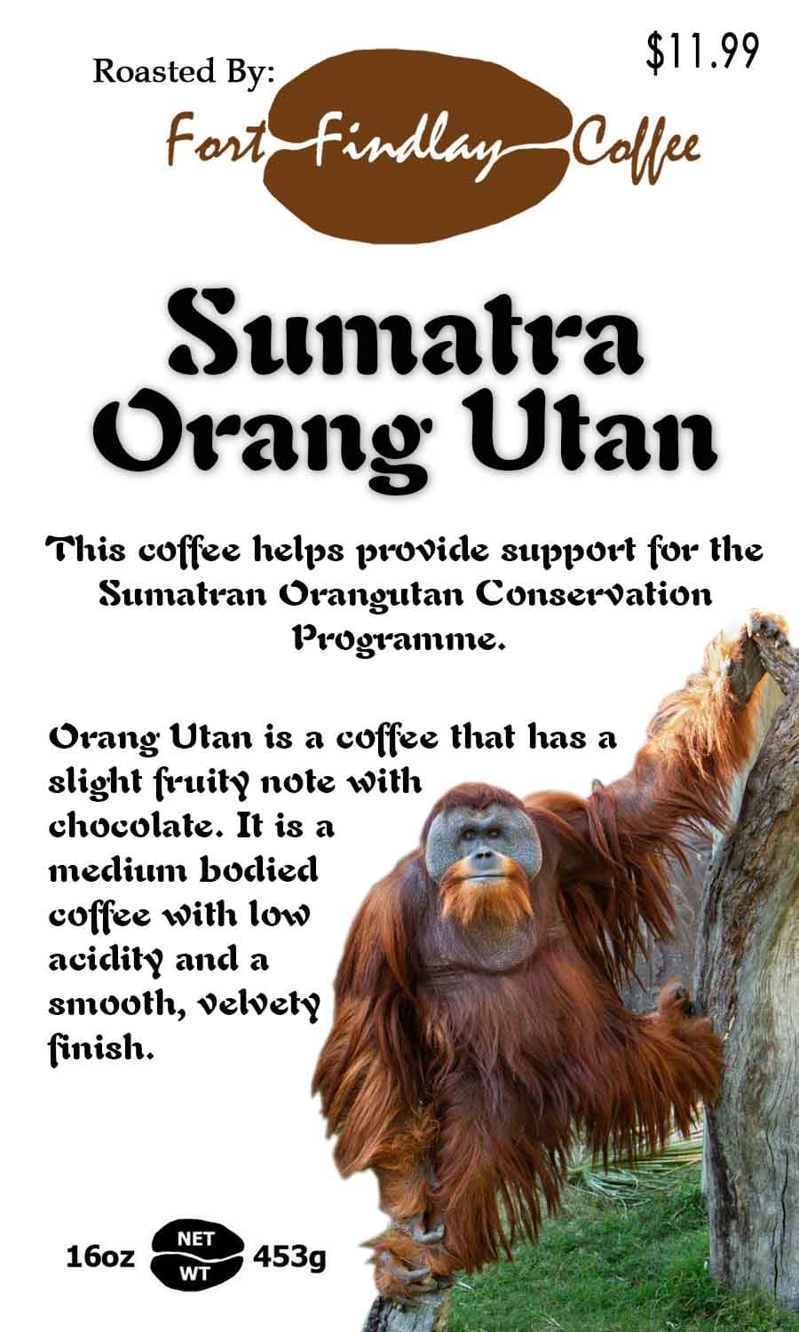 Sumatra Orang Utan
