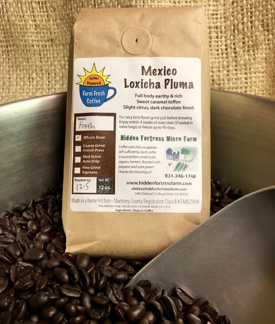 Mexico Oaxaca Pluma