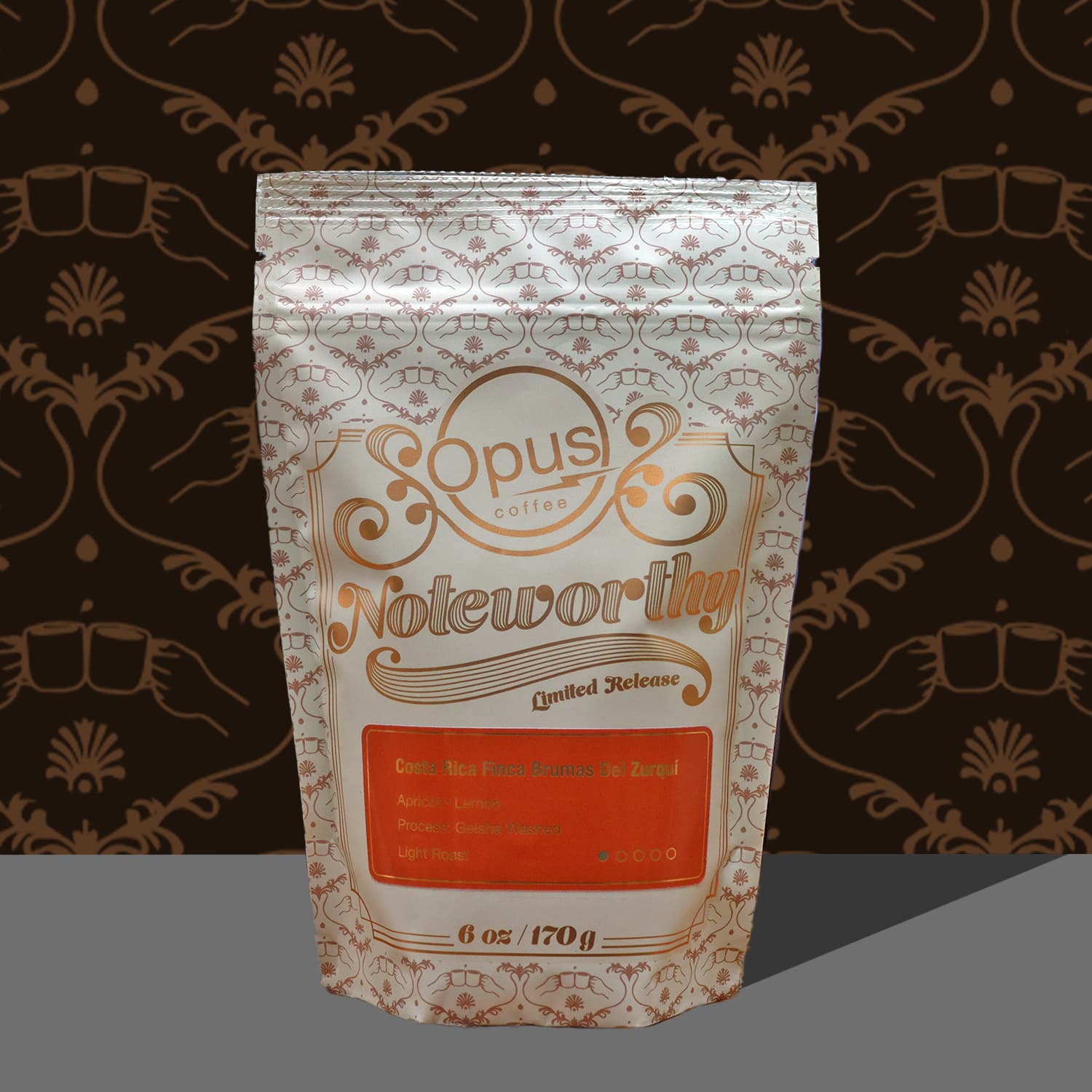 Costa Rica Finca Brumas del Zurquí