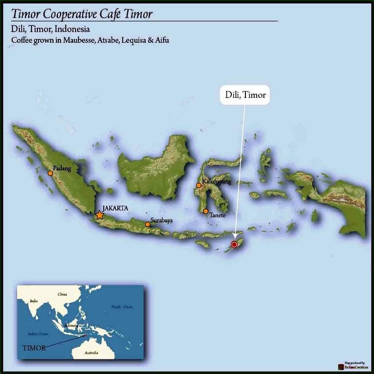 Timor FTO