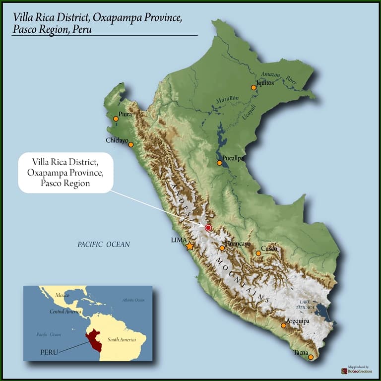 Peru Organic RFA SMBC Villa Rica SHB