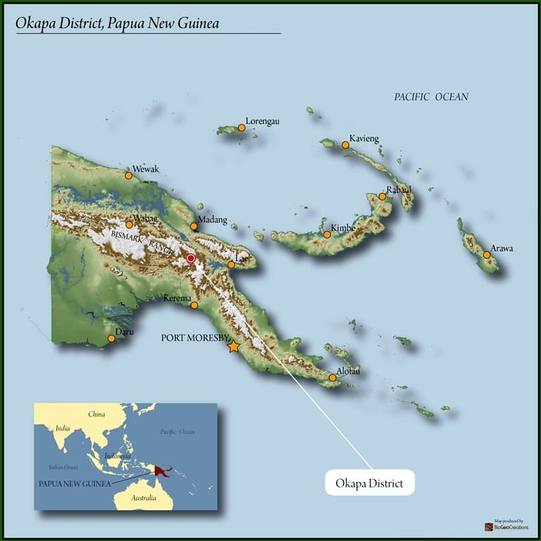 Papua New Guinea Purosa A FTO