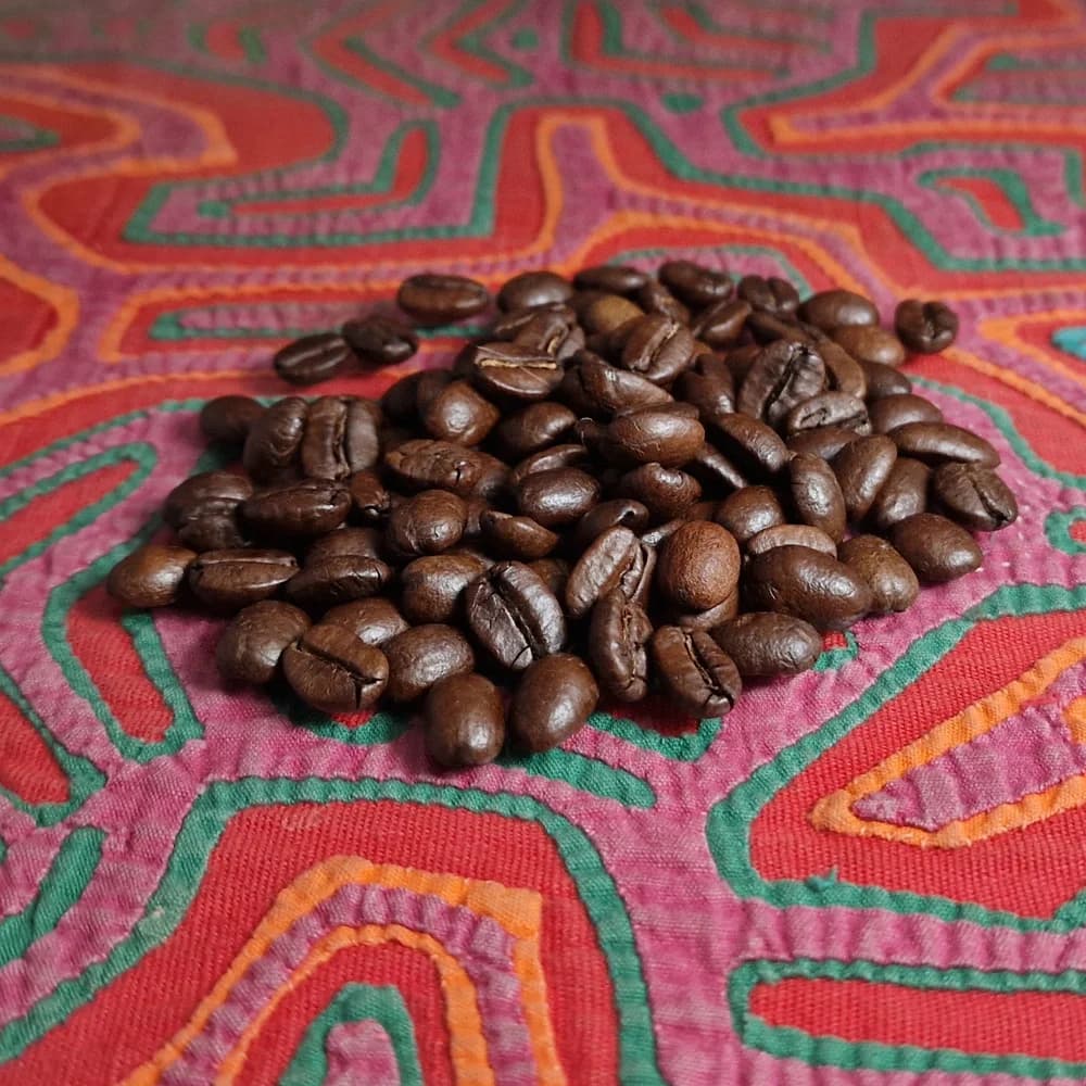 Colombia High Altitude | Organically Grown
