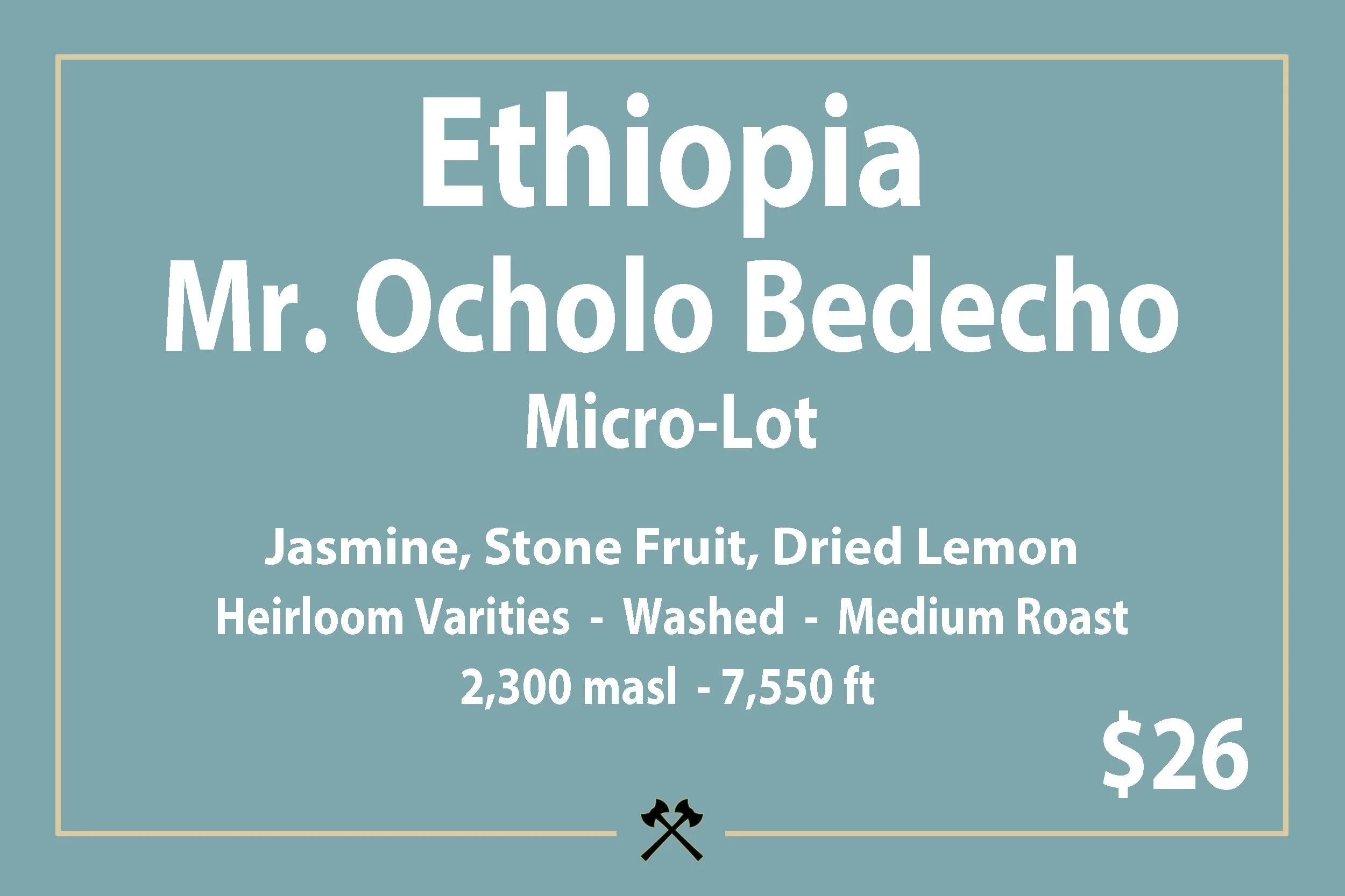 Ethiopia - Mr. Ocholo Bedecho - Micro-Lot