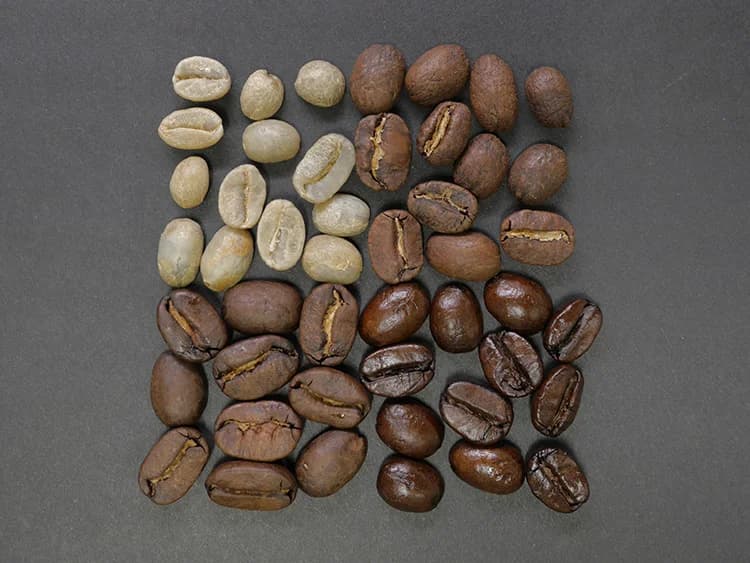 India Monsooned Malabar Medium Dark Roast