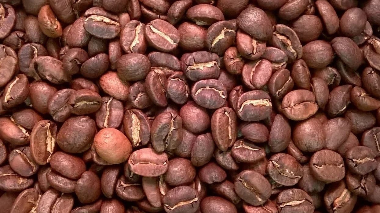 Panama Boquete