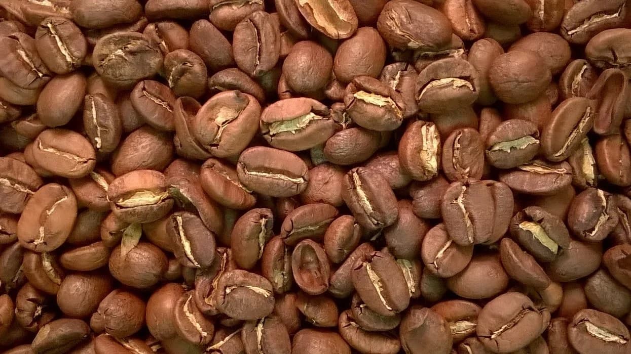 Java Estate