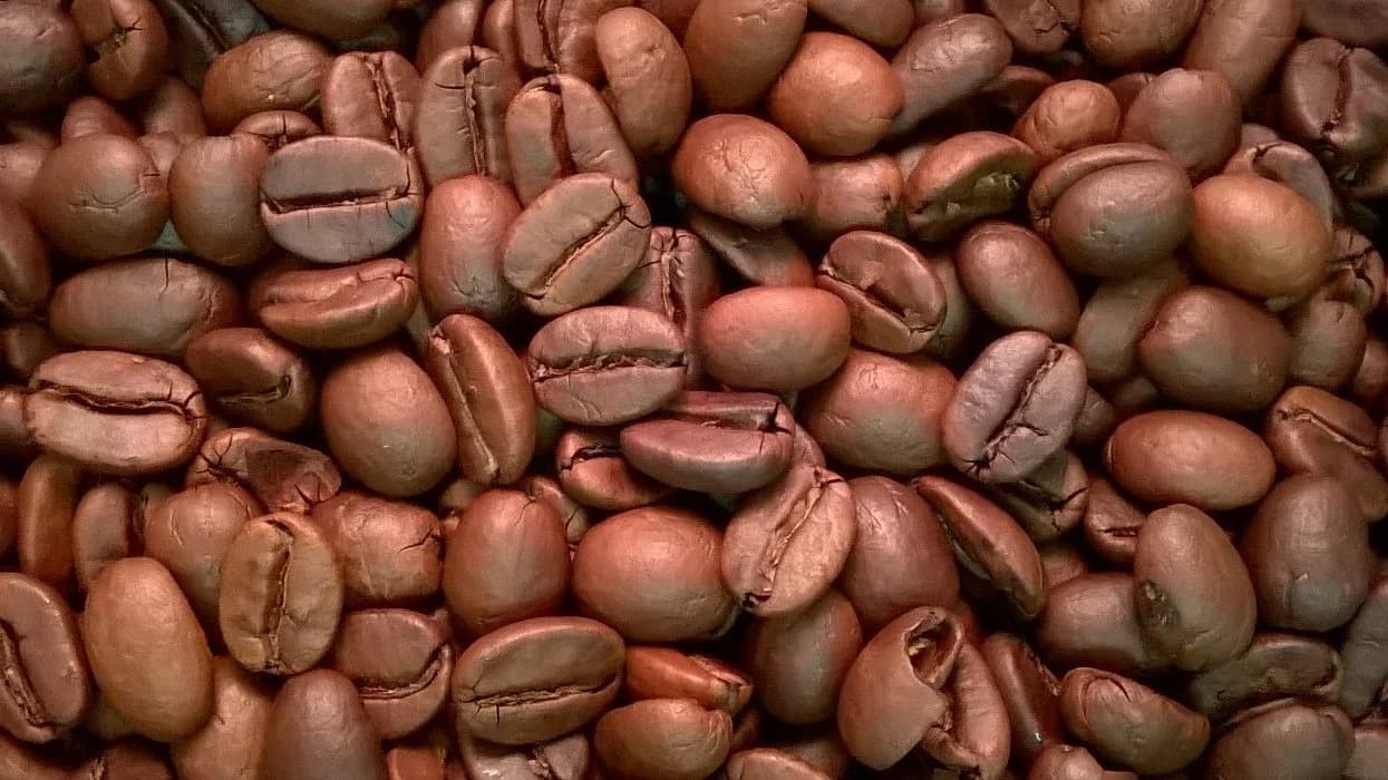 Indian "Monsooned" Malabar