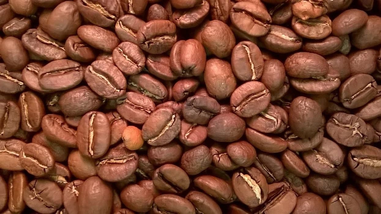 Decaf Milano Blend