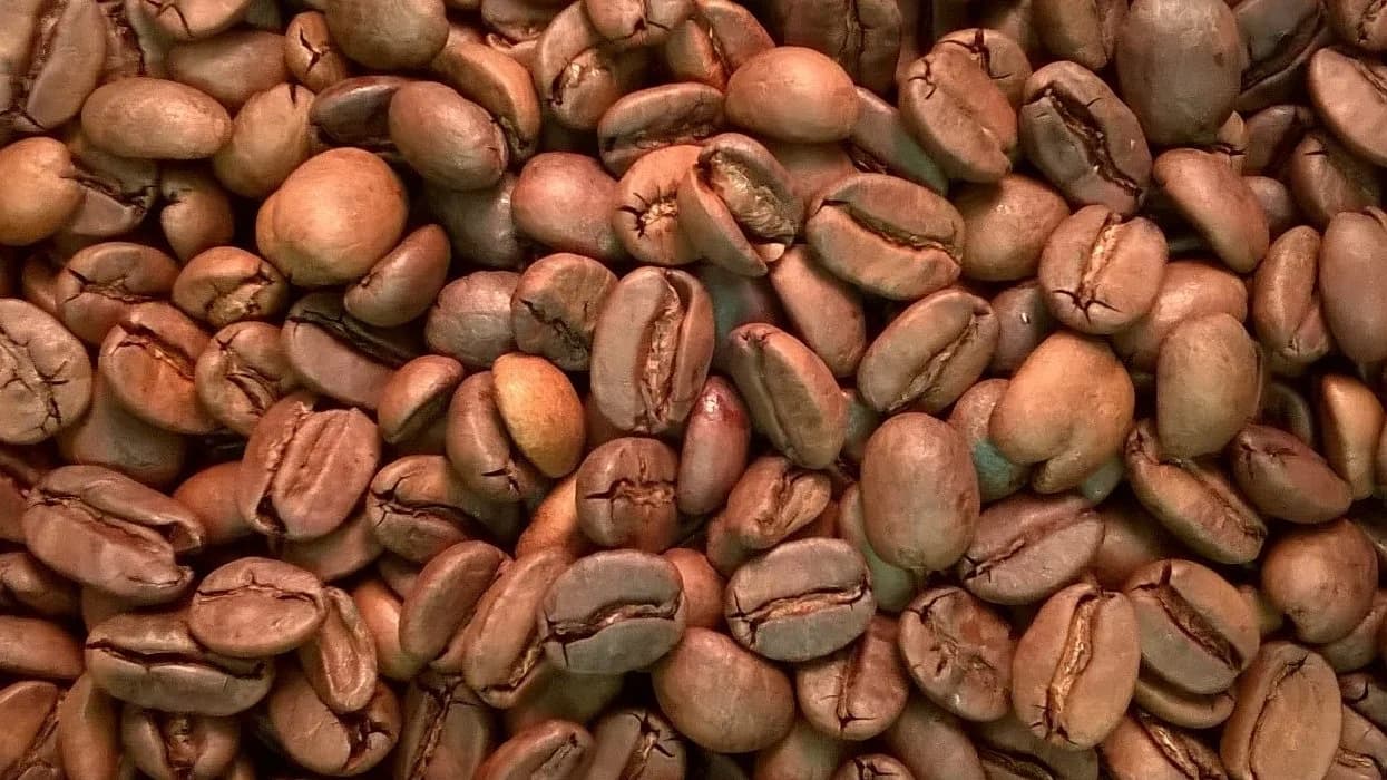 Colombian Decaf