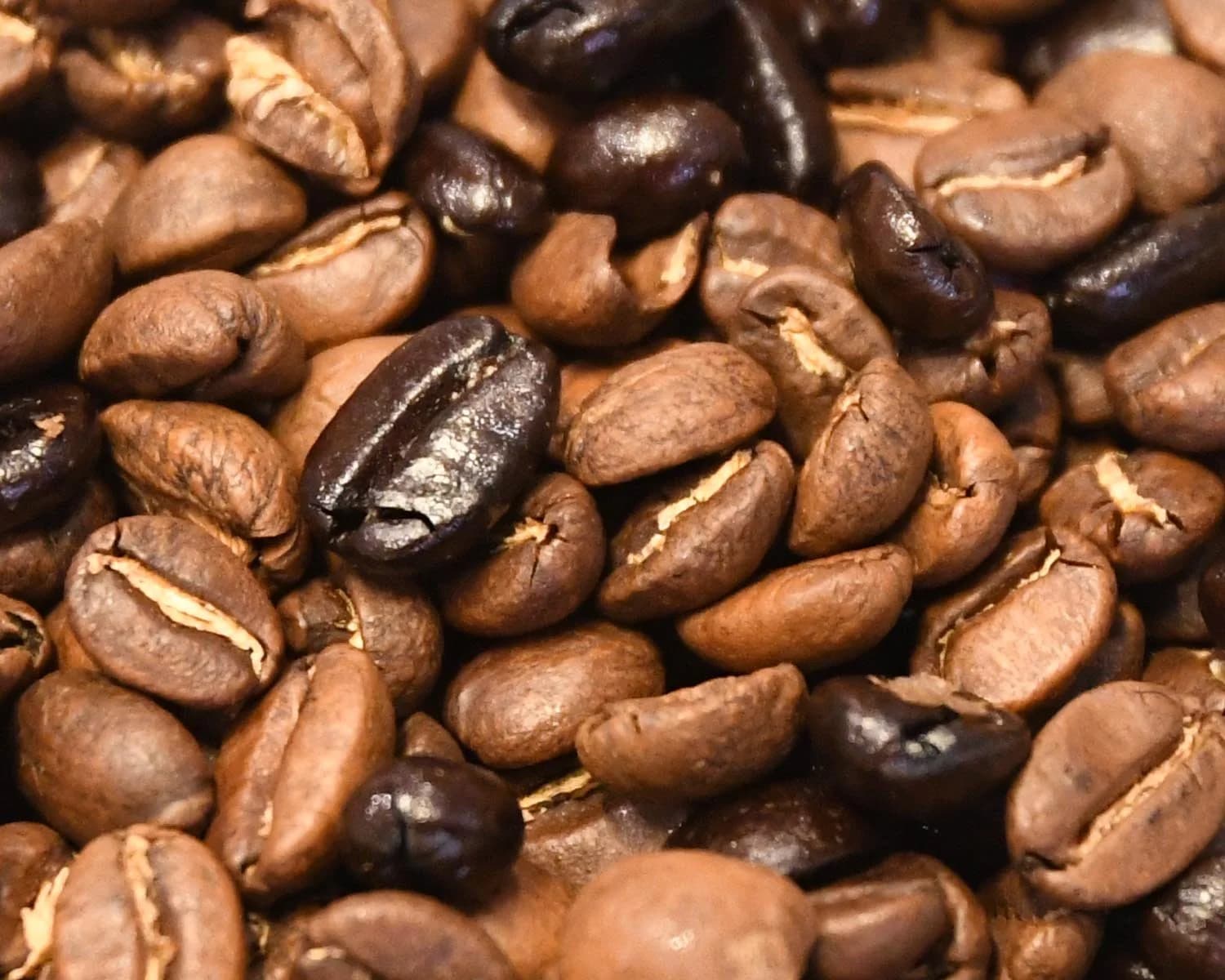 Wake Up Blend