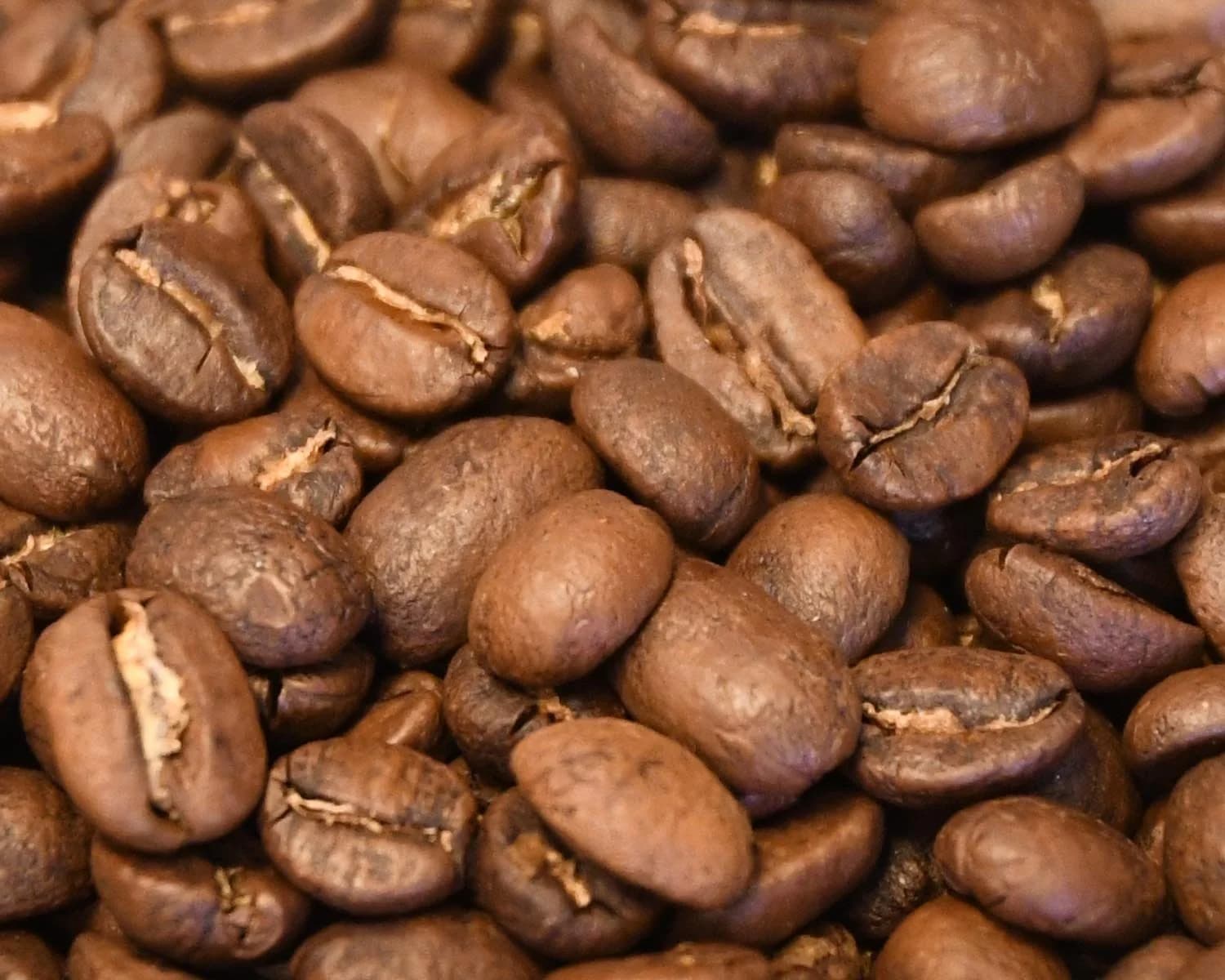 Roaster Blend