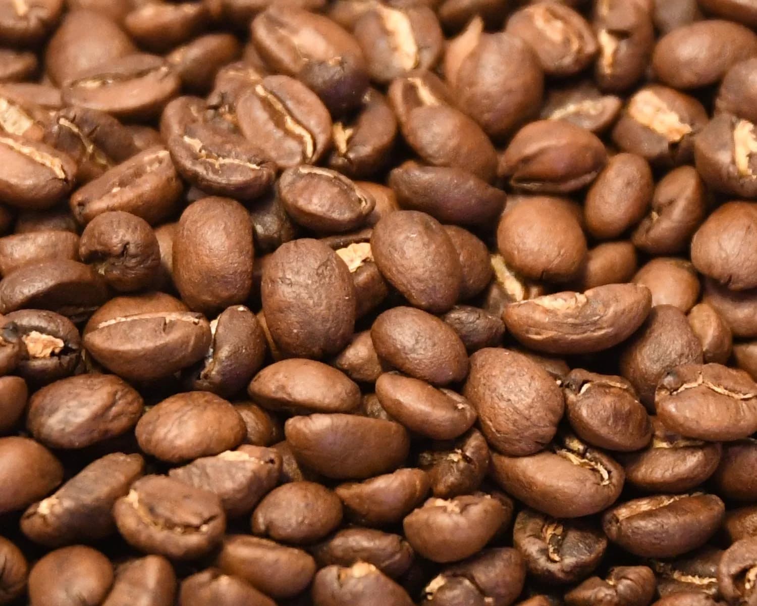 Mocha-Java