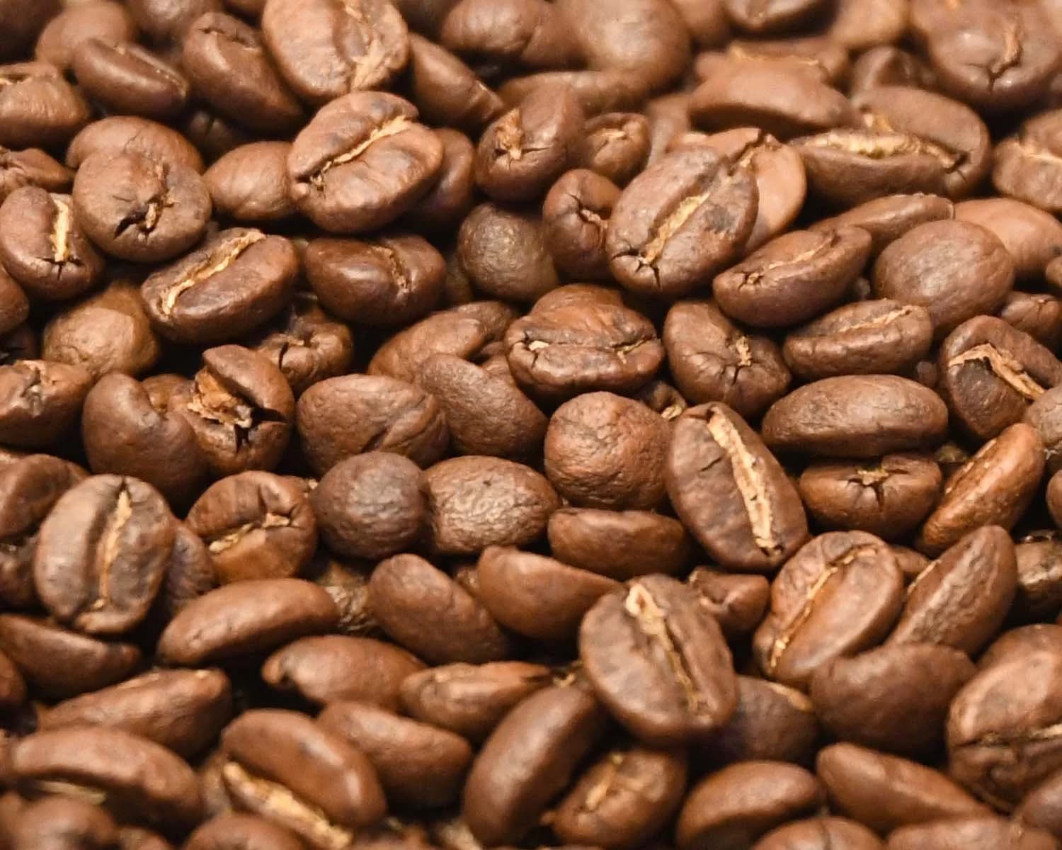 House Blend